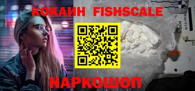 скорость Гатчина