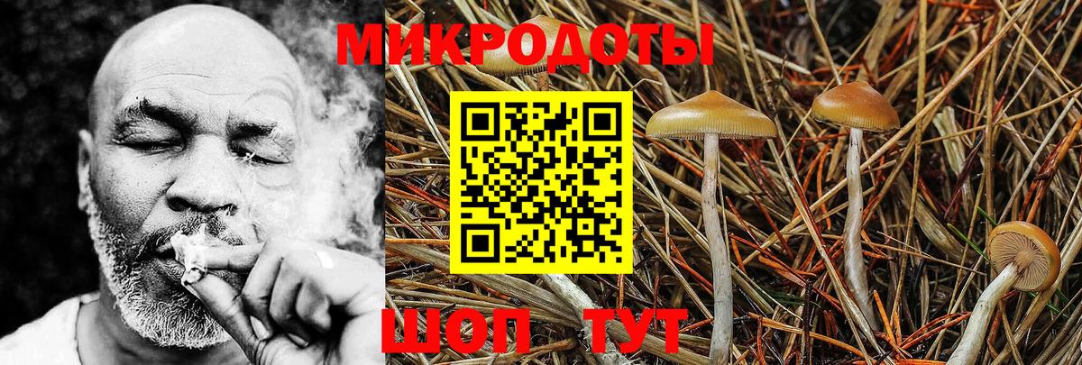 Псилоцибиновые грибы MAGIC MUSHROOMS Воркута